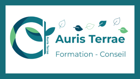 Formation - Conseil